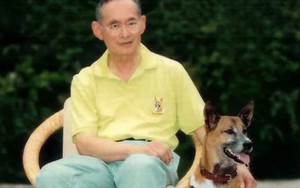 Đối mặt với án tù dài 3 thập kỷ vì nhấn nút 'like' trên Facebook